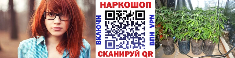 Продажа наркотиков Макушино Каннабис  Псилоцибиновые грибы  А ПВП  ГАШИШ  Мефедрон 