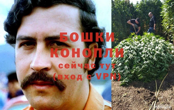 мдпв Нягань