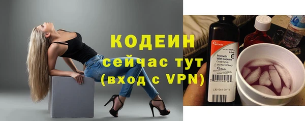 мяу мяу кристалл Няндома
