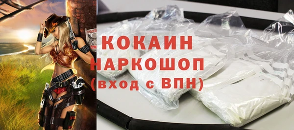 индика Сосновый Бор