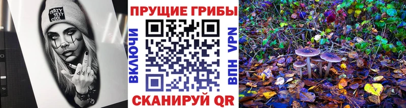 Галлюциногенные грибы прущие грибы Макушино